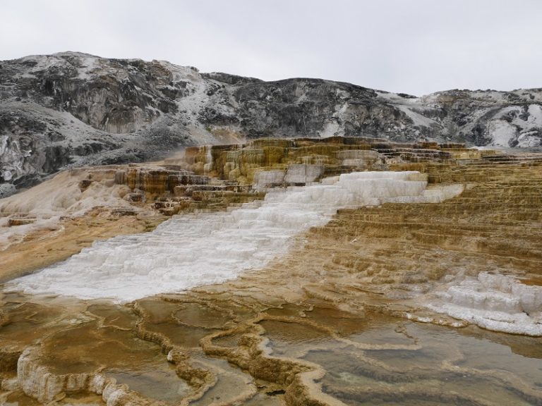 Freenatics Weltreise Yellowstone NP