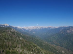 Freenatics Weltreise Sequoia NP